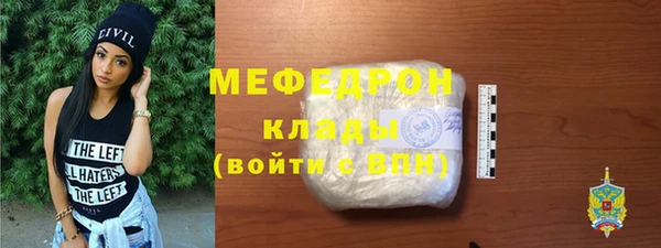 spice Богородицк
