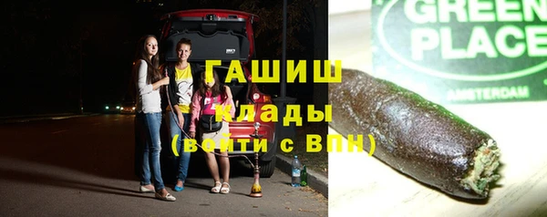 гидра Богородск