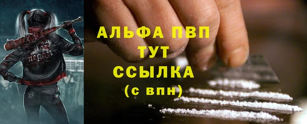 spice Богородицк