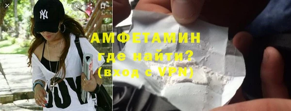 гидра Богородск