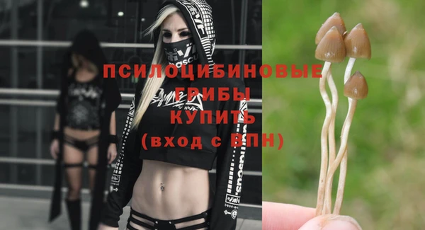 соль курить ск Богданович