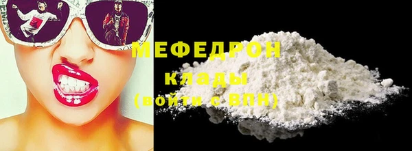 spice Богородицк