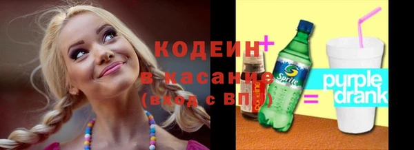spice Богородицк