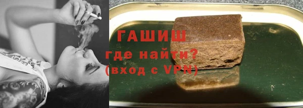 гидра Богородск