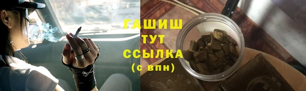 spice Богородицк