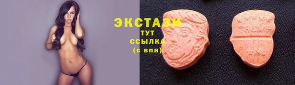 гидра Богородск