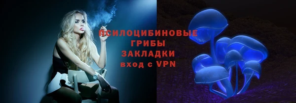 соль курить ск Богданович