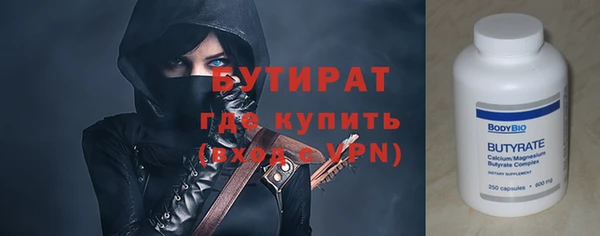 гидра Богородск