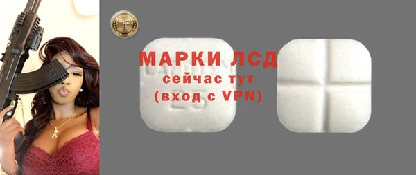 spice Богородицк