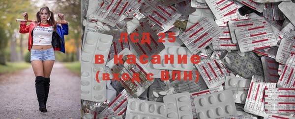 гидра Богородск
