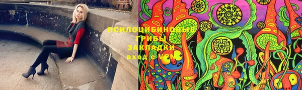 spice Богородицк