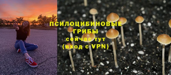 гидра Богородск