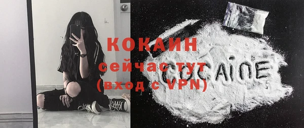 spice Богородицк