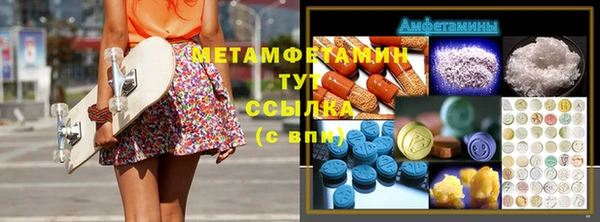 гидра Богородск