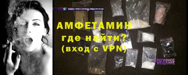 гидра Богородск