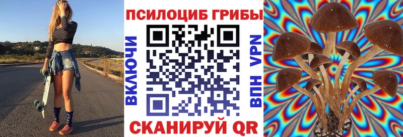 где найти наркотики  Электроугли  Псилоцибиновые грибы Magic Shrooms 